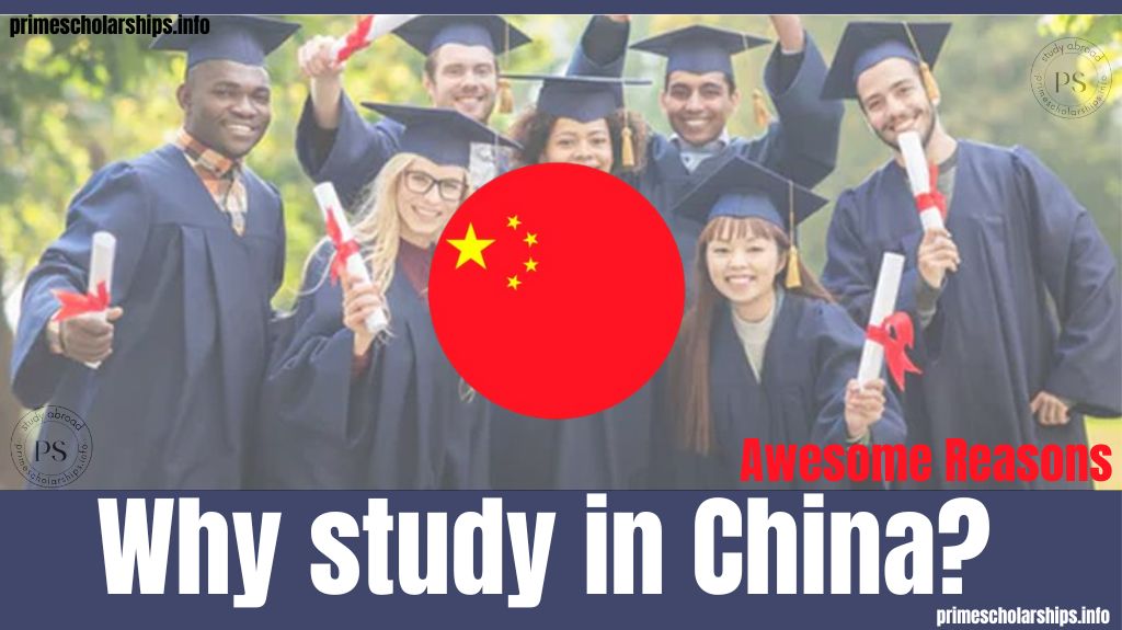 Why study in China?